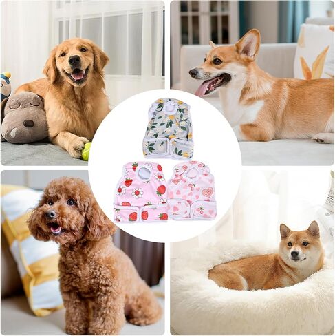 حفاضات الكلب القابلة لإعادة الاستخدام أنثى ، 3 حفاضات الكلب القابلة للغسل للكلاب الإناث جرو حفاضات السراويل الإناث in Kuwait