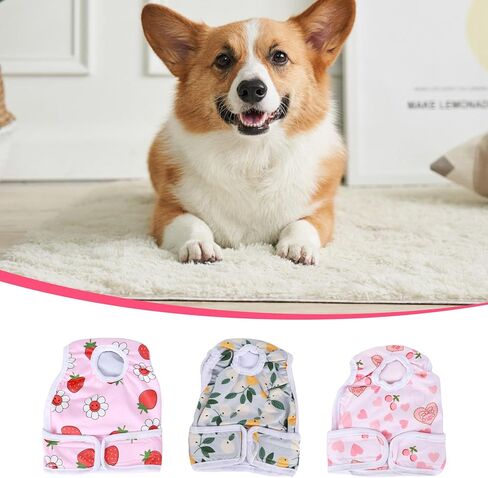 حفاضات الكلب القابلة لإعادة الاستخدام أنثى ، 3 حفاضات الكلب القابلة للغسل للكلاب الإناث جرو حفاضات السراويل الإناث in Kuwait
