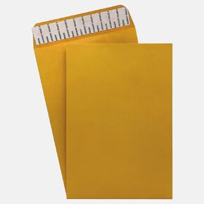 150 Cashier Depot 6" X 9" Self Adhesive Catalog Mailing Envelopes, Heavyweight 28lb. Paper, 150 Envelopes (28lb. Brown Kraft)