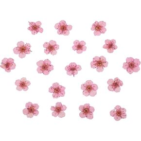 PATIKIL Dried Pressed Flower, 60 Pcs for Resin DIY Crafts Nail Art Cards Scrapbooking Jewelry Making Floral Decor Candle Decors, Pink