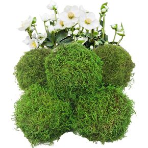 5 Pcs Round Floral Foam Blocks Green Moss Balls for Bowls Bulk Wet Dry Floral Plant Foam Block 3.9" Natural Preserved Pillow Moss for Craft Florist Easter Table Flower Arrangement DIY Decor