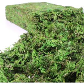 Artificial Moss, 17.6 OZ Green Moss for Decorating, Faux Moss for Crafts, Decorative Moss for Plants Indoor, Table Centerpieces, Fairy Garden Wedding Decor, Fake Moss Decor