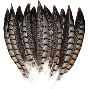 10pcs Lady Amherst Pheasant Tail Feathers for Wedding DIY Cosplay Dream Catcher Pheasant Side Tail (10-12in)