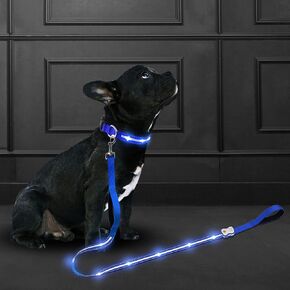Led Dog Leash Rechargeable Waterproof 1000 ft Night Visibility LED Dog Leash - Padded Double Traffic Handle |10hr Battery Life, USB-C Quick Charging Light | Heavy Duty Durable Quality (Purple)
