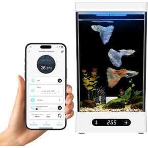 Fish Tank for Betta Fish is Suitable for Raising Various Small Ornamental Fish and Jellyfish. It can Also be Used to Create Aquarium Landscapes. It is an Indoor Fish Tank and Aquarium.