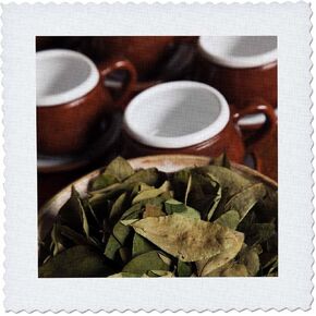 3dRose qs_86965_1 Peru, Cuzco. Coca Leaves and Tea Cups - SA17 BJA0152 - Jaynes Gallery - Quilt Square, 10 by 10-Inch