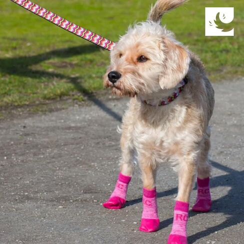 RC Pets Sporty Pawks Dog Socks ، Heather Red ، Medium in Kuwait