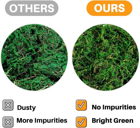 طحالب Sukh فو للنباتات المحفوظة بوعاء - 5.29 أوقية طحلب اصطناعي للحرف اليدوية موسور موسور خضراء للنباتات الجنية حشو الطحلب المركزية مركزية الزفاف عيد الميلاد الحرف ديكور الحفل in Kuwait