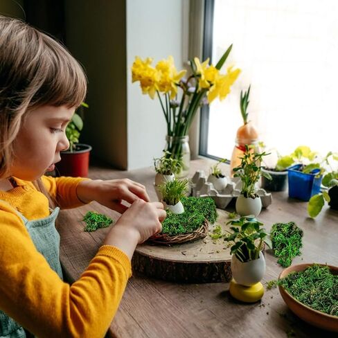 طحالب Sukh فو للنباتات المحفوظة بوعاء - 5.29 أوقية طحلب اصطناعي للحرف اليدوية موسور موسور خضراء للنباتات الجنية حشو الطحلب المركزية مركزية الزفاف عيد الميلاد الحرف ديكور الحفل in Kuwait