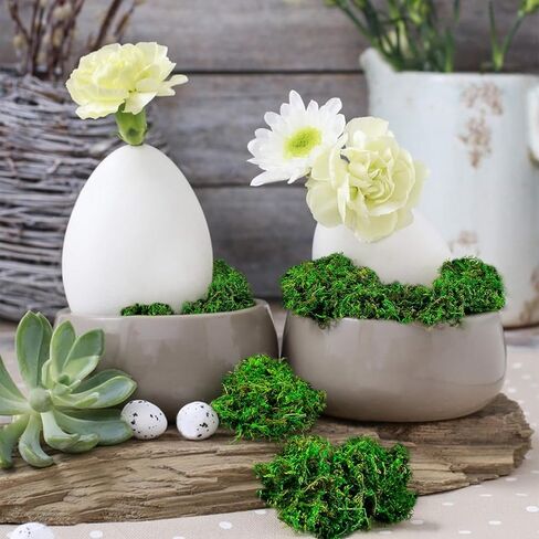 طحالب Sukh فو للنباتات المحفوظة بوعاء - 5.29 أوقية طحلب اصطناعي للحرف اليدوية موسور موسور خضراء للنباتات الجنية حشو الطحلب المركزية مركزية الزفاف عيد الميلاد الحرف ديكور الحفل in Kuwait