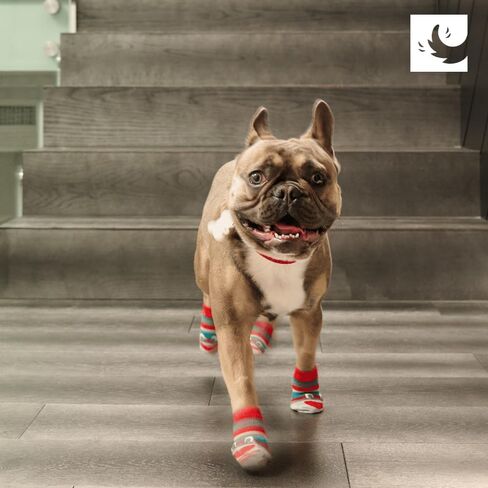 RC Pet Products Fun Pawks Anti-slip ، الأنيقة ، الوظيفية ، الجوارب الكلاب الواقية | صغير ، اللصوص in Kuwait