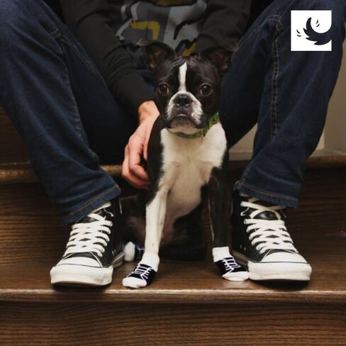 RC Pet Products Fun Pawks Anti-slip ، الأنيقة ، الوظيفية ، الجوارب الكلاب الواقية | صغير ، اللصوص in Kuwait