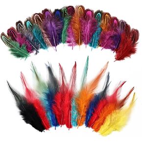 MehelloFeather Colorful Feathers 2 Style Craft Feathers 120Pcs for Handmade DIY Wedding Family Party Decorations Mixed Natural Feathers