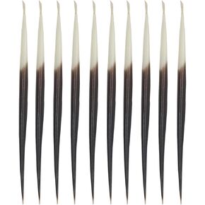 10PCS Porcupine Quills,Bird Quills,Crafts Accessories Fishing Buoy,DIY Sewing Project Kits