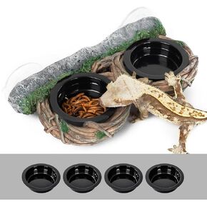 repti zoo dual gecko feedge verge ، reptile hollow vine food ester for therrarium terrarium terrarium terrarium terrarium accsitations