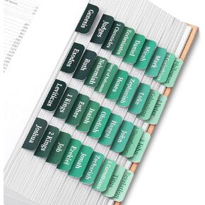 Mr. Pen- Bible Tabs, 75 Tabs, Jade Veil, Laminated Bible Tabs for Women and Men, Bible Tabs for Study Bible, Bible Index Tabs, Bible Book Tabs, Bible Labels Tabs, Mr Pen Bible Tabs