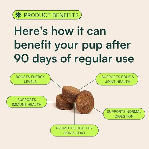 Bob’s Bites Dog Multivitamin Treats - الفيتامينات والمكملات الغذائية ، وصحة المفاصل والورك - البروبيوتيك وأوميغاس لدعم الجلد والقلب والأمعاء - 120 مكمل نكهة الدجاج الناعمة لكبار وجرو جرو in Saudi Arabia