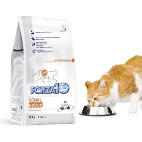 Forza10 Active Kidney Renal Diet Dry Cat Food for Adult Cats, Kidney Care Cat Food for Heart and Kidney Problems, Wild Caught Anchovy Flavor, 1 Pound Bag