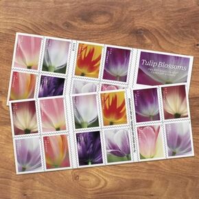 Tulip Blossom Postage Stamps, Valentine, Wedding, Celebration, Anniversary, Romance, Party (2 Sheets - 40 Stamps)
