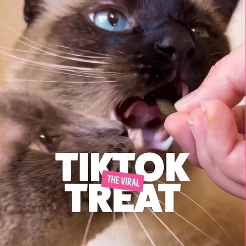 Bonkers Cat Treats Salmon Supreme Flavor 6.3 OZ, Cat Treats, Treats for Training, for All Breeds and Ages, Food Topper, Resealable Pouch in Saudi Arabia