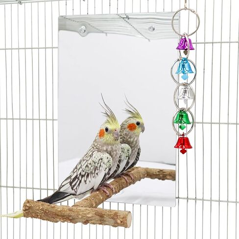 Oooct Large Bird Mirror Toy with Perch Stand, Parrot Parakeet Mirror with Bird Swing Bell Toys, Bird Cage Accessories, Suitable for Parakeet Cockatiel Conure Lovebirds - 11.8 × 7.9 Inch in Kuwait
