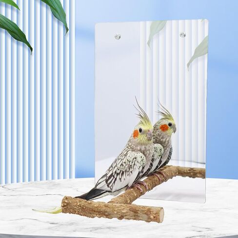 Oooct Large Bird Mirror Toy with Perch Stand, Parrot Parakeet Mirror with Bird Swing Bell Toys, Bird Cage Accessories, Suitable for Parakeet Cockatiel Conure Lovebirds - 11.8 × 7.9 Inch in Kuwait