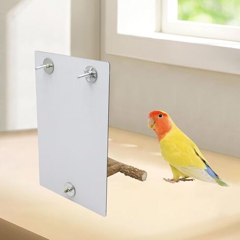 Oooct Large Bird Mirror Toy with Perch Stand, Parrot Parakeet Mirror with Bird Swing Bell Toys, Bird Cage Accessories, Suitable for Parakeet Cockatiel Conure Lovebirds - 11.8 × 7.9 Inch in Kuwait