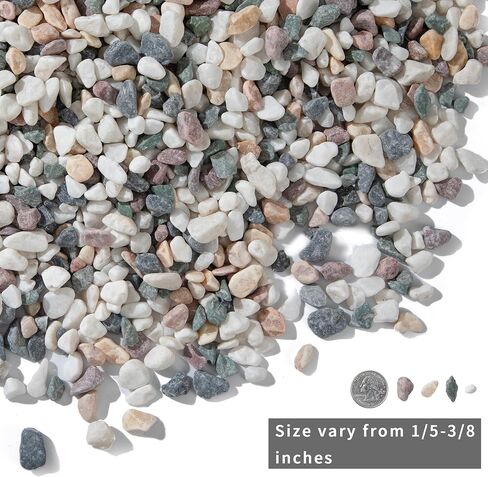 10lb Succulent and Cactus Gravel Pebbles 1/5-3/8 Inch Natural Decorative Polished Stones River Rocks for Plants, Vases, Aquariums, Terrarium and Outdoor Gardening, Mixed Color in Kuwait