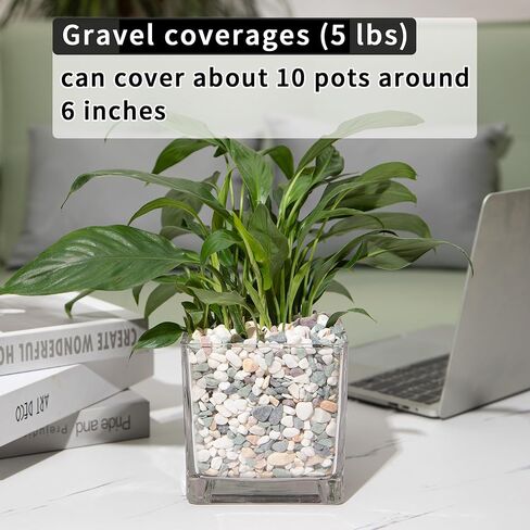 10lb Succulent and Cactus Gravel Pebbles 1/5-3/8 Inch Natural Decorative Polished Stones River Rocks for Plants, Vases, Aquariums, Terrarium and Outdoor Gardening, Mixed Color in Kuwait
