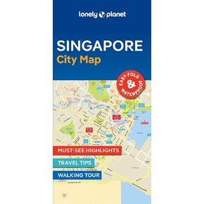 Lonely Planet Singapore City Map