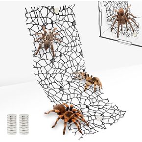 4 Pack Tarantula Enclosure Accessories Jumping Spider Habitat Accessories with 16pcs Magnets Spider Terrarium Decoration Praying Mantis Habitat Jumping Spider Climbing Mesh (Black)