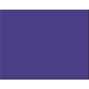 Pacon 4-Ply Railroad Board, 22" x 28", Purple 100 Count
