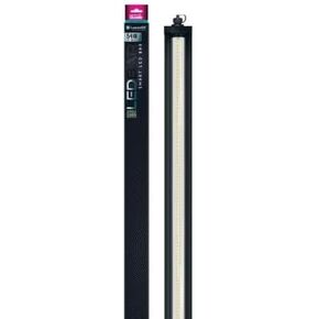 أركاديا تلاشي Jungle Dawn 35 "54 واط LED