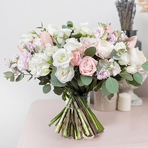 حامل الجذعية Ikebana الحلزوني ، حاملان حلزوني الجذعية للزهور ، DIY Boudquet Kit Spiral Ikebana STEM حامل للزهور S+L Clear in Saudi Arabia