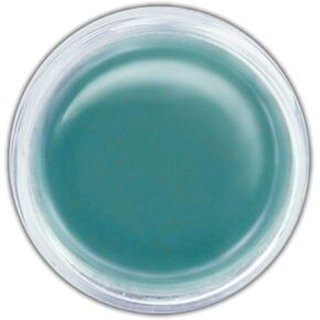 Ranger PPP-21872 Perfect Pearls Pigment Powder, Blue Patina, 1 oz