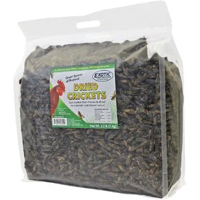 Dried Crickets (2.2 lb.) - High Protein Insect Treat - Chickens, Wild Birds, Hedgehogs, Bluebirds, Reptiles, Sugar Gliders, Opossums, Skunks, Lizards, Bearded Dragons, Fish, Amphibians, Turtles