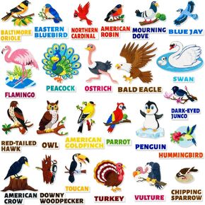 Felt Common Birds Learning Pieces,48 Felt Board Pieces for Felt Flannel Board,24 Birds and 24 Words Learning for Toddlers,for Kindergarten,Preschool,Toddlers