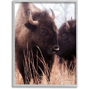 Stupell Industries Bison Cattle Couple Tall Grass Autumn Country Photography Grey Framed Wall Art, 16 x 20, Brown