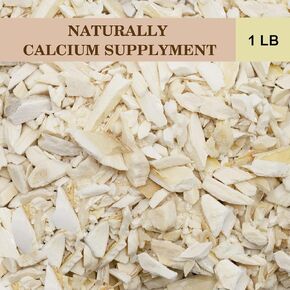 Jmxu's 1LB Crushed Cuttlebone for Birds, Natural Calcium Supplement for Chickens Ducks Small Pieces Cuddle Bone Small Blocks for Snails Reptiles Tortoise Turtle