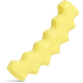 Barkbox Crinkle Fry Dog Toy for Large Dogs, Super Tough Nylon Construction for Aggressive Chewers and Designed for Durable Playtime