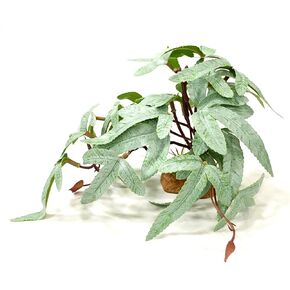 Woyrise Reptile Plants for Terrarium Decor, Amphibian Habitat Decor, Artificial Plants for Gecko Chameleon Frog Snake Tortoise Tank Accessories with Base - Selliguea
