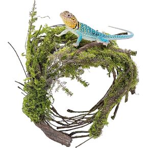 Fhiny Reptile Vines, Bendable Jungle Vines with Moss Artificial Snake Climbing Branch Terrarium Habitat Decor Reptile Tank Accessories Fake Plant for Bearded Dragon Chameleon Lizard Gecko (3.3 FT)