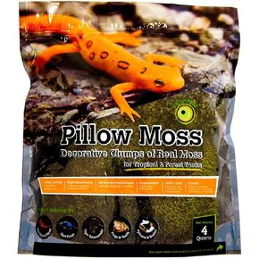 Galápagos (05234) Moss Pillow Moss ، Clumps of Real Moss ، Natural ، 4QT ، Green