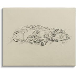 صناعات Stupell Super Dog Dog Sleep Soft Cushion Monochrome Portrait ، Design by Ethan Harper