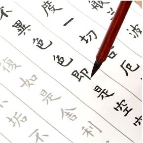 Fendawn Strive 20 Sheets Chinese Brush Calligraphy Copybook, Chinese Calligraphy Practice of Classic Poetry