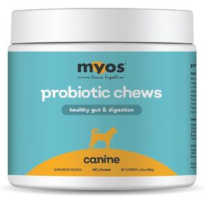 Myos بروبيوتيك مضغ للكلاب - الدعم الجهاز الهضمي اليومي ، ويعزز صحة الأمعاء الكاملة ، والهضم الإيدز ، ويعزز امتصاص المغذيات ، ويدعم البراز الصحي - ملحق All -in -واحد مضغ