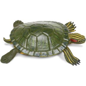 Safari Ltd. Red-Eared Slider Turtle Figurine - Realistic 5.25" Model Figure - Educational Toy for Boys, Girls, and Kids Ages 18M+