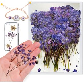 Pressed Dried Gypsophila Flowers, 42PCS Purple Natural Real Dried Pressed Babysbreath Flowers with Stem, Dry Flowers for Resin Jewelry DIY Phone Case Decor Crafts Candle Making
