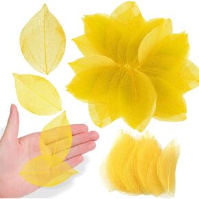Natural Pressed Dried Skeleton Leaves Vein for Resin, 42PCS Golden Real Pressed Dry VajraSkeleton Leaf for Resin Mold Art DIY Craft Candle Making Phone Case Home Wedding Decor