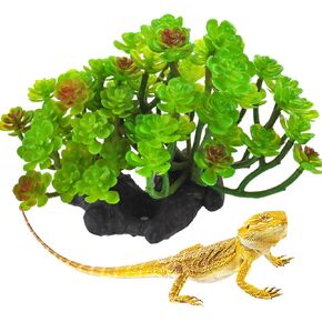 كاثون الزواحف النبات النضرة ، النباتات الاصطناعية أكواريوم و terrarium ملحقات التنين الملتحي Crested Leopard Gecko السحلية Chameleon Tortoise Betta Fish Crab Crab
